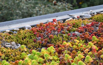 the cost of Franks Bridge green roof installation